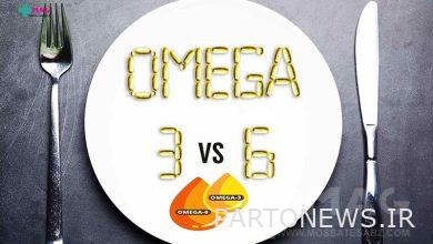 What is the difference between omega 3 and omega 6?