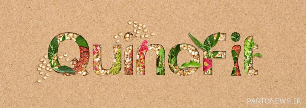 Kinofit Quinoa Puffs