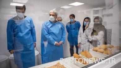 Improving bread quality with flour and bread enzymes