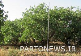 إخطار بتسجيل 3 أعمال طبيعية لمحافظ قزوين