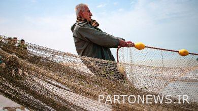 The catch of bony fish in the north of the country increased by 66%
