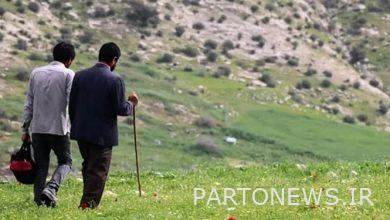 لمحة عامة عن مسيرة سيد رضا محقق السينمائية / 10 سنوات من الخبرة وإنتاج 6 أفلام والعديد من الجوائز الوطنية والدولية