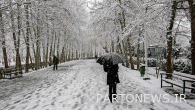 Snow became the opponent of air pollution