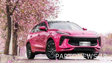 How much is Lamari Emma Safar in the agency?  + Price table