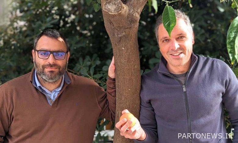 Wikifarmer از پایگاه دانش کشاورزی خود برای آوردن مردم به بازار خود استفاده می کند • TechCrunch