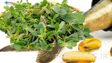 Omega 3 in traditional medicine