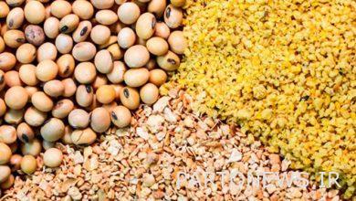 Details of the import statistics of livestock inputs in 11 months of 1401