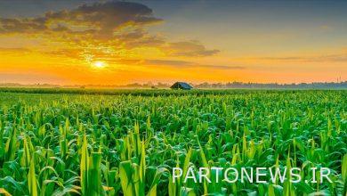 The government's program to curb the inflation of agricultural products/input prices and chemical fertilizers is being managed this year