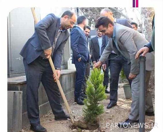 زرع شتلات من قبل نائب الرئيس التنفيذي وأعضاء مجلس إدارة شركة عرمان للتأمين