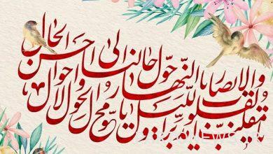 TV delivery plans for the year have been announced