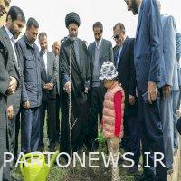 Tree planting in the tomb of Sheikh Jibraeel Kalkhoran, Ardabil