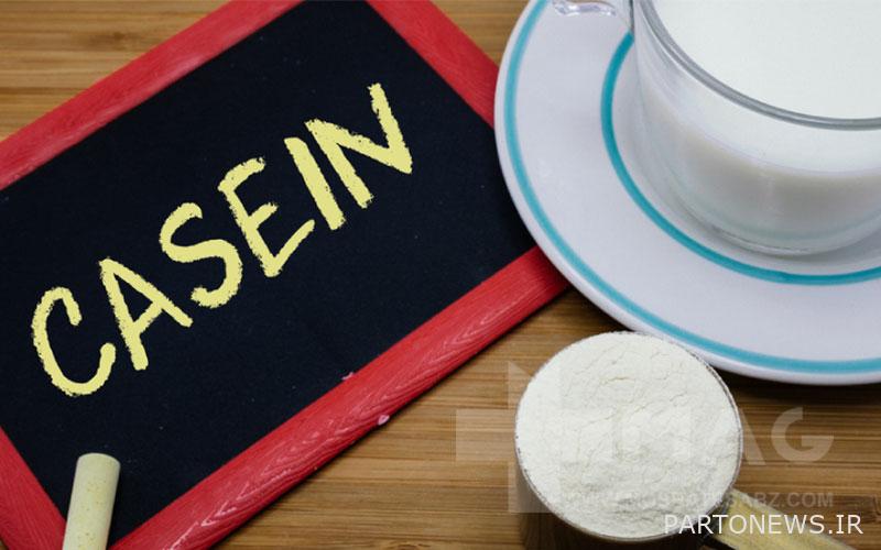 Casein protein