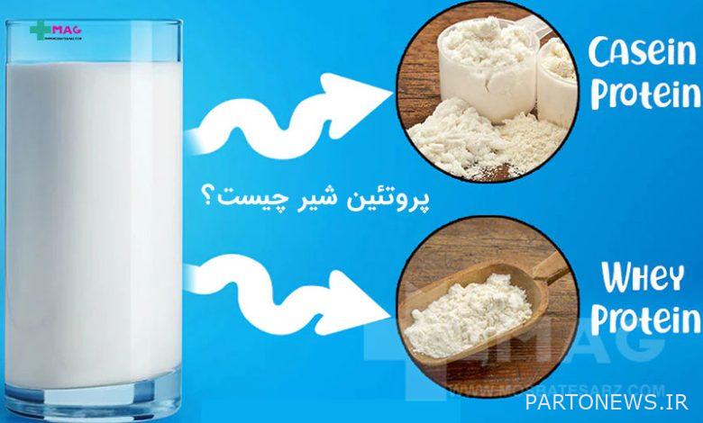 What is milk protein?/ Its properties and side effects