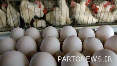 The Ministry of Jihad and Agriculture denied the news of the decision to increase the price of eggs