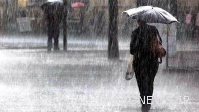 9% increase in rainfall in the current crop year