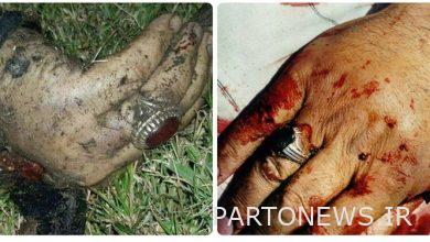 The meeting of Rostan's hands, from Feke to the airport/ the art of revolution from Seyed Morteza to Haj Qasim