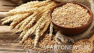 The guaranteed purchase price of wheat was set at 15 thousand tomans