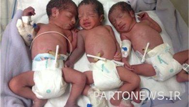 A 28-year-old mother from Ardabili gave birth to triplets - Mehr news agency  Iran and world's news