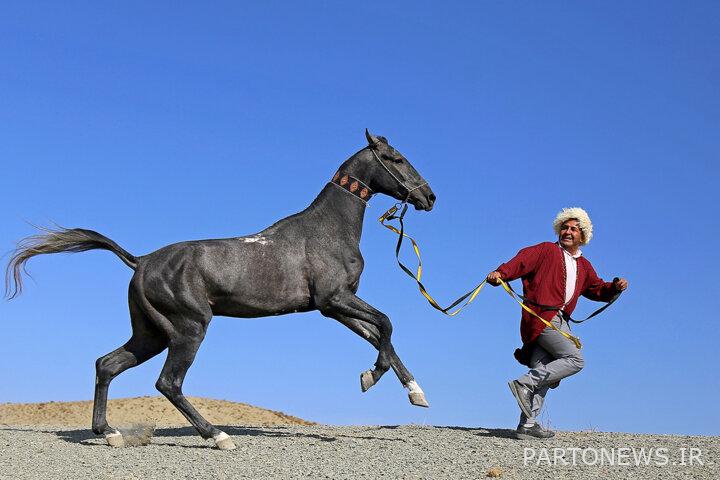 Bandar Turkmen 4 Journey to the depths of history by visiting the only Iranian island in the Caspian Sea