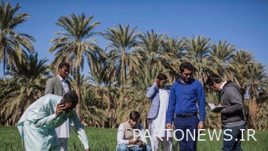 انعكاس "الأبطال العاديين" في إطار التلفزيون / الأشخاص الذين بدأوا العمل دون انتظار أي شخص + صورة