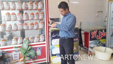 إشراف مندوب وزارة الجهاد على سلسلة الإنتاج حتى توريد الدجاج والبيض