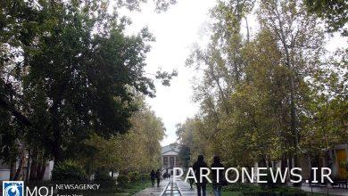 ستمطر في الشمال الغربي وغرب البلاد اليوم وغدا