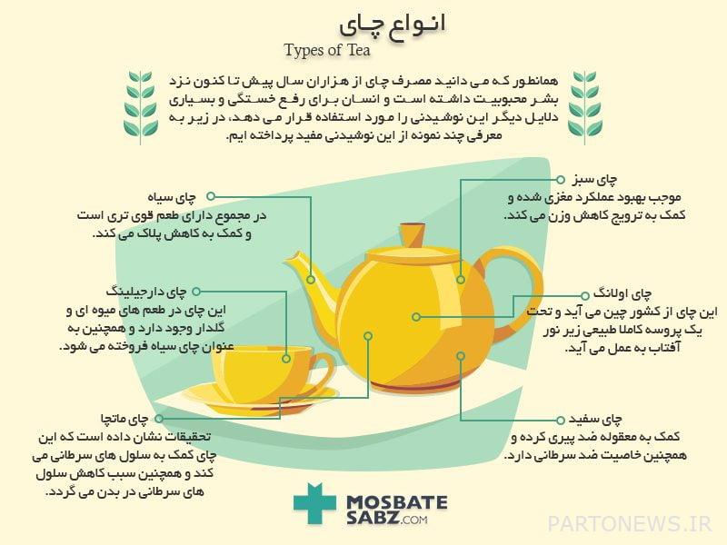 Infographics of tea types