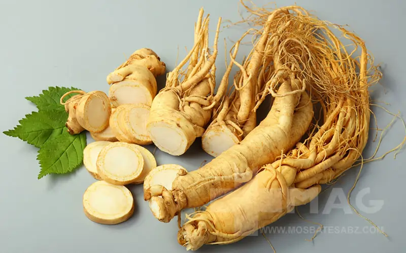 Ginseng 3