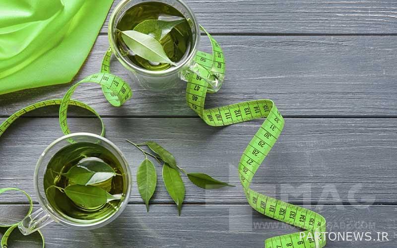 Green tea for weight loss