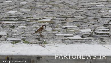أصدرت هيئة الأرصاد الجوية تحذيرا برتقاليا من مخاطر الأمطار والفيضانات في 7 مقاطعات