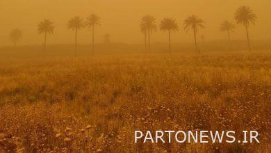 إصدار عدد 2 من الإنذارات باللون البرتقالي من قبل هيئة الأرصاد الجوية والغبار في 6 محافظات