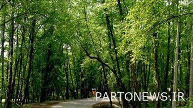 Iran's forest area per capita is about 7 square meters