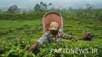 كيف أعادت الحكومة الثالثة عشرة إحياء الموارد الإيرانية المحجوبة في سريلانكا