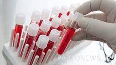 كيف تعمل المراكز الوطنية لإمداد الخلايا الجذعية في منظمة نقل الدم