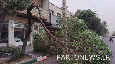 طهران عاصفة + فيلم