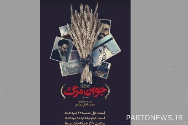 "Joan of Death" was aired on TV/ a documentary about the death of Jihad Sazendagi - Mehr News Agency |  Iran and world's news