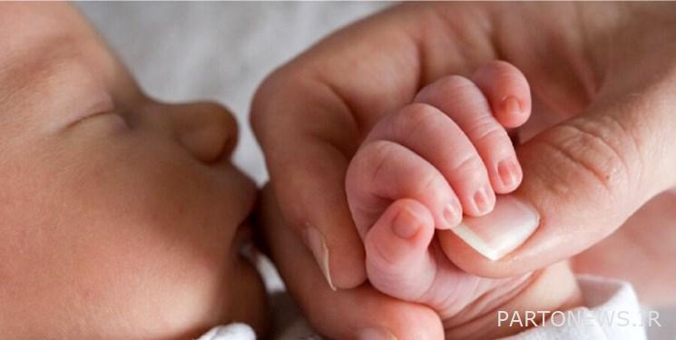 My Persian Insurance laws are not compatible with childbearing policy