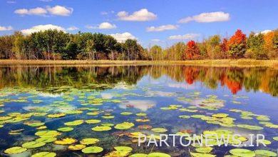 4 wetlands of the country got new life