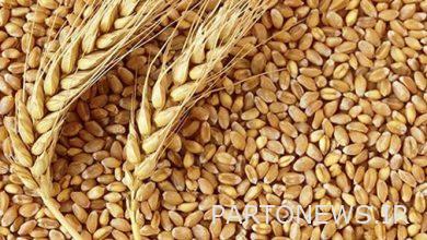 Guaranteed purchase forecast of 9 million tons of wheat