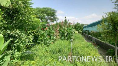 اصدار 5 تراخيص استغلال سياحي زراعي في محافظة جولستان / حصلت 34 مزرعة على تراخيص سياحة زراعية