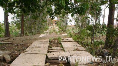 حديقة Tajabad Natanz Nagini في قلب الصحراء / Tajabad من الماضي إلى الحاضر