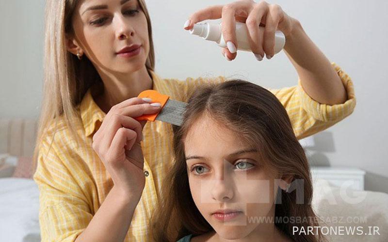 Lice treatment