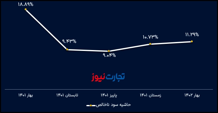 Shepna gross profit margin