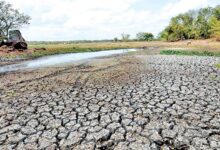 بیش از 10 هزار دریاچه در سریلانکا خشک شدند