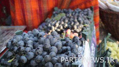 The third black grape festival of Sardasht ended its work