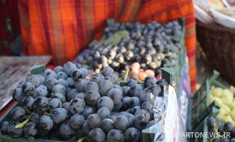 The third black grape festival of Sardasht ended its work
