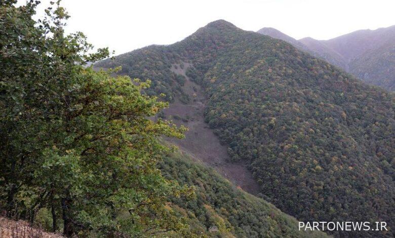 Iran's "Dizmar Forest" was registered as a world record in UNESCO