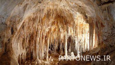 Tourism in caves should not be at the cost of destroying the inhabitants of the cave