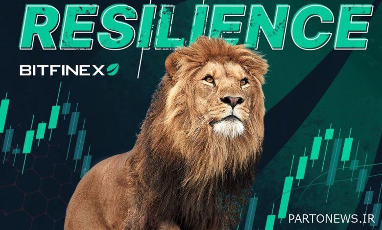 انعطاف پذیری Bitfinex: ردیابی تحول آن در طول تاریخ رمزنگاری