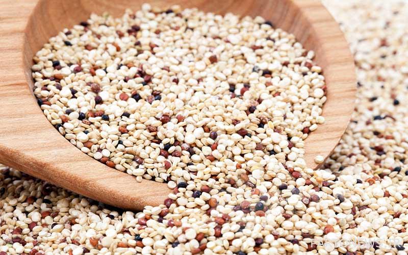 What is quinoa?